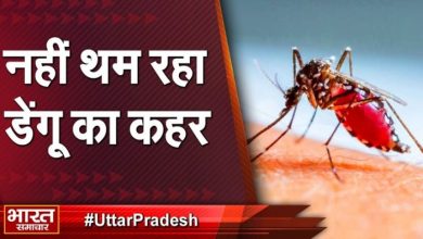 Photo of Lucknow: प्रदेश में डेंगू का कहर जारी, अयोध्या व गाजियाबाद में तेजी से बढ़ रहे मामले !