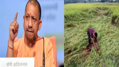 Photo of बारिश और ओलावृष्टि से प्रभावित किसानों को मुआवजा देगी यूपी सरकार, CM योगी ने मांगी फसल नुकसान की रिपोर्ट