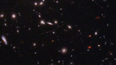 Photo of NASA ने खोजा नया तारा, अब तक खोजे गए धरती से सबसे दूरस्थ तारों में से एक है “Earendel”, जानें क्या है खास?