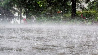 Photo of Weather Upadate: प्रदेश के कई हिस्सों भारी बारिश का पूर्वानुमान, मौसम विभाग ने जारी किया अलर्ट