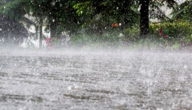 अगले 5 दिनों तक प्रदेश के कई हिस्सों में बारिश की संभावना, मौसम विभाग ने  जारी किया अलर्ट
