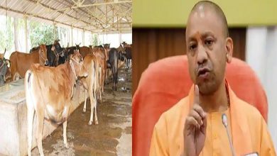 Photo of खबर का बड़ा असर : 60 से अधिक गायों के मौत मामले का CM योगी ने लिया संज्ञान, कर दी बड़ी कार्रवाई!