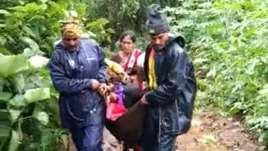 Photo of Keral News : बारिश के चलते 3 गर्भवती महिलाये जंगल में फंसी, 1 ने दिया बच्ची को जन्म, जाने क्या है पूरा मामला