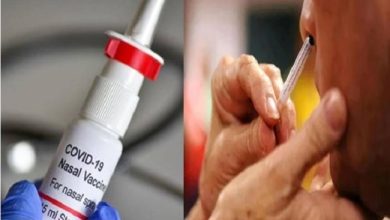 Photo of Nasal Vaccine: कोरोना से जंग में भारत को बड़ी कामयाबी, देश की पहली नेजल वैक्सीन का ट्रायल हुआ पूरा…