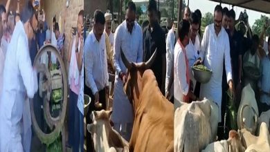 Photo of बहराइच: डिप्टी CM बृजेश पाठक ने अपने हाथों से चारा काटकर गायों को खिलाया, की पूजा अर्चना, देखें Video