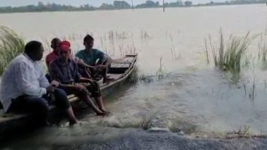 Photo of देवरिया : घाघरा नदी का दिखा रौद्र रूप, देवराहा बाबा आश्रम में घुसा बाढ़ का पानी, जानवरों को चारे का संकट