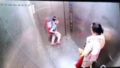 Photo of Ghaziabad: पालतू कुत्ते ने लिफ्ट में बच्चे को काटा, नहीं पिघला महिला मालिक का दिल, वीडियो वायरल !
