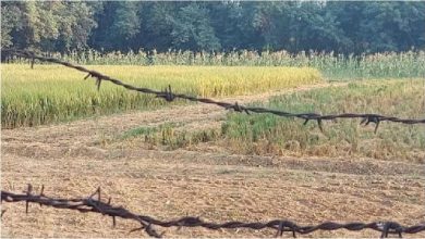 Photo of यूपी सरकार का बड़ा फ़ैसला, खेत में लगाया कंटीला तार तो जाना पड़ेगा जेल, पढ़े पूरी खबर