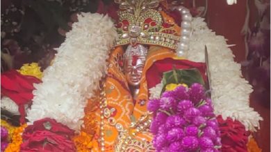 Photo of मां मनसा देवी शोभा यात्रा का 50वां वर्ष, 100 से अधिक झांकियों के बेड़े में हर समुदाय के लोग होंगे शामिल
