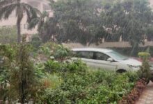 Photo of केरल में मानसून की दस्तक, जाने यूपी में कब होगी झमाझम बारिश, मौसम विभाग ने दी पूरी जानकारी !