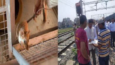 Photo of 69 लाख खर्च कर रेलवे मंडल लखनऊ ने पकड़े 168 चूहे, RTI में हुआ खुलासा, सुनकर लोगों के पैरों तले खिसकी जमीन