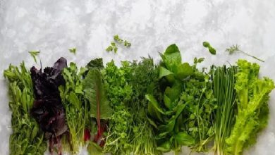 Photo of सर्दियों में इन पत्ते वाली सब्जियों को हर रोज जरुर खाएं…
