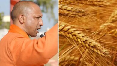 Photo of किसानों के लिए बड़ी खुशखबरी! गेहूं का MSP हुआ निर्धारित, CM योगी ने किया ऐलान