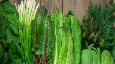 Photo of पत्ते वाली हरी सब्जियों को खाने के हैं जबरदस्त फायदे,जानें क्या-क्या मिलता है लाभ
