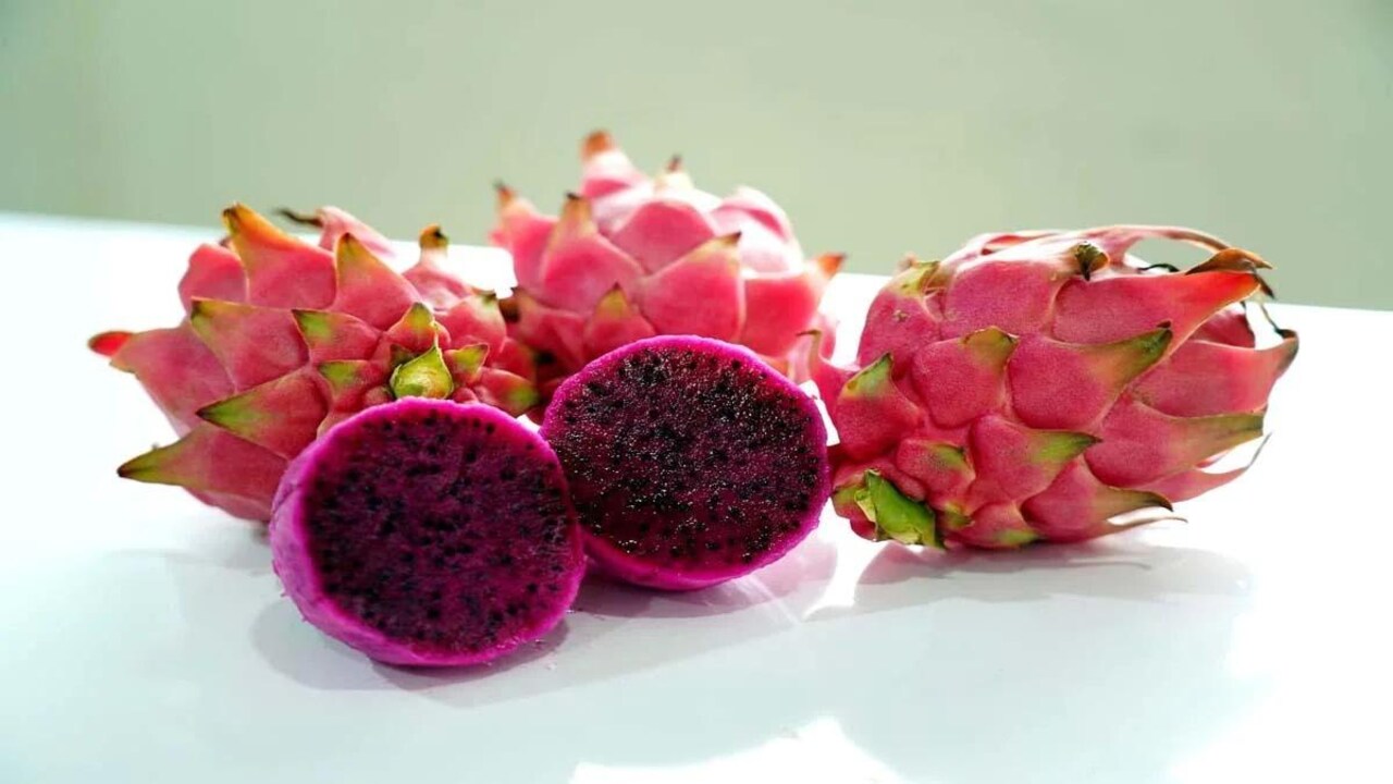 Dragon fruit : सेहत के लिए चमत्कारी फल और जानिए इसके फायदे