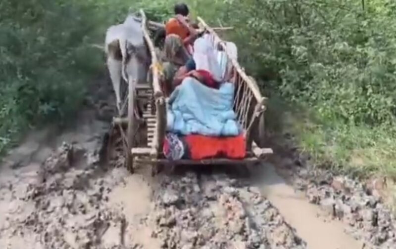 Hamirpur News: प्रसव पीड़िता तड़पती रही, बदहाल रास्ते के चलते नहीं मिली एंबुलेंस, बैलगाड़ी पर अस्पताल लेकर गए परिजन