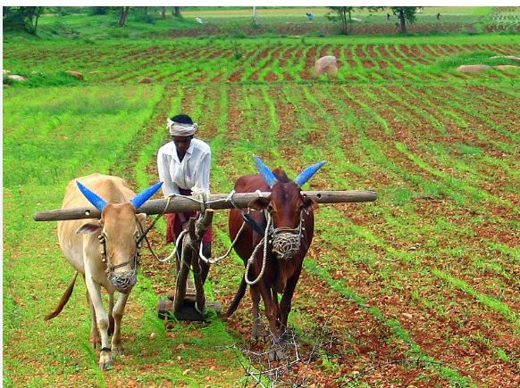 नया कानून प्रोडक्शन से डिलीवरी तक रहेगी निगरानी, जानें कौन सा नियम ला रही सरकार?