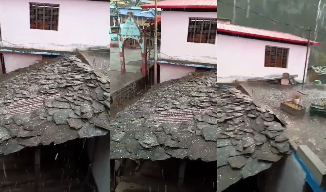 उत्तरकाशी में ओलावृष्टि से किसानों की फसलें बर्बाद, पुरोला और बड़कोट में भारी नुकसान