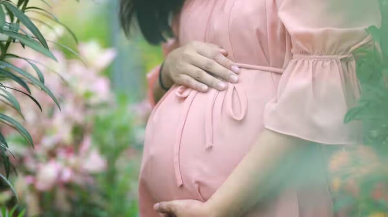 गर्मी में प्रेग्नेंट महिलाओं के लिए बढ़ जाती हैं चुनौतियां, जानें कैसे रखें सेहत का ध्यान