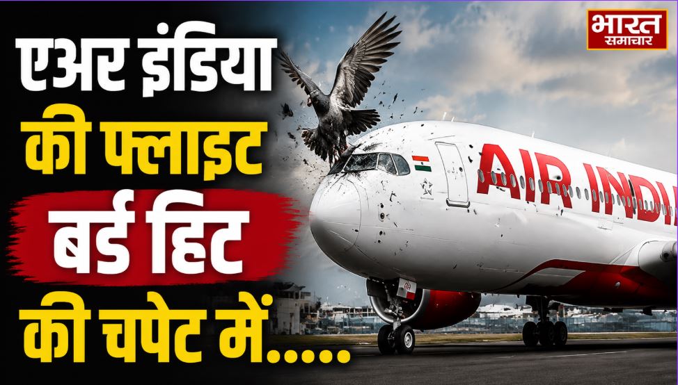 रायपुर एयरपोर्ट पर एअर इंडिया की फ्लाइट बर्ड हिट की चपेट में, ढाई घंटे की देरी से दिल्ली के लिए रवाना
