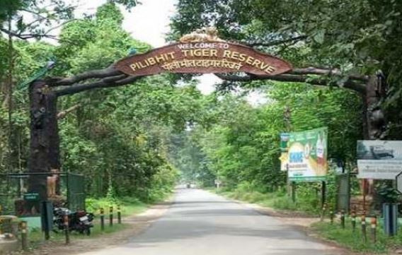 पीलीभीत टाइगर रिजर्व के दरवाजे कुछ दिन बाद हो जाएं
