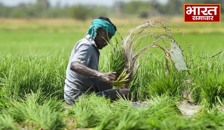 दिल्ली में फसल गंवाने वाले प्रभावित किसानों को मिलेगा 75,000 रुपये प्रति हेक्टेयर मुआवजा, बैंक खाते में भेजी जाएगी राशि