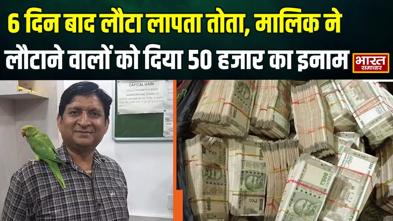 आगरा में 6 दिन बाद घर लौटा परिवार का लाडला तोता माऊ, मालिक ने दिया 50 हजार का इनाम