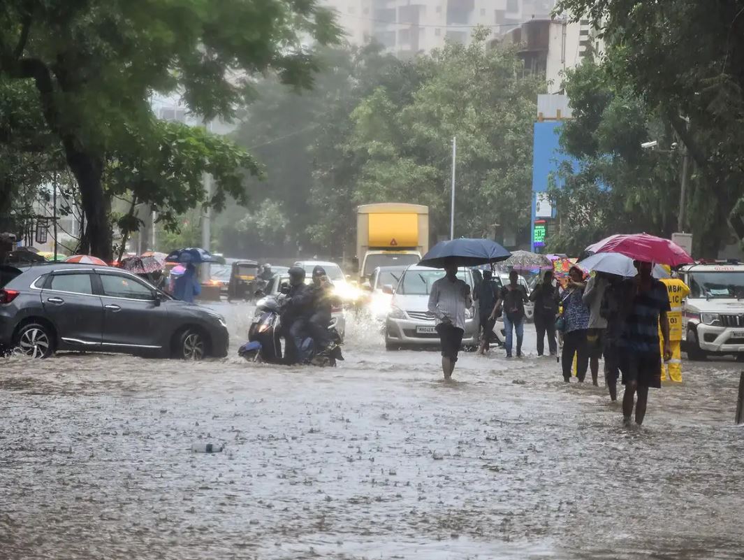 मुंबई में बारिश का कहर पवई में गाड़ियों के नीचे मिला 6 फीट लंबा मगरमच्छ, कई ट्रेनें रद्द