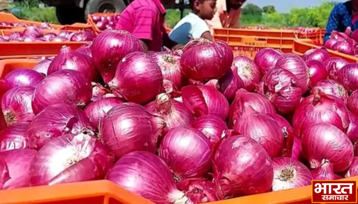 दिल्ली में आज से सिर्फ 35 रुपये किलो मिलेगा प्याज… जानें किन शहरों में मिलेगा सस्ता…