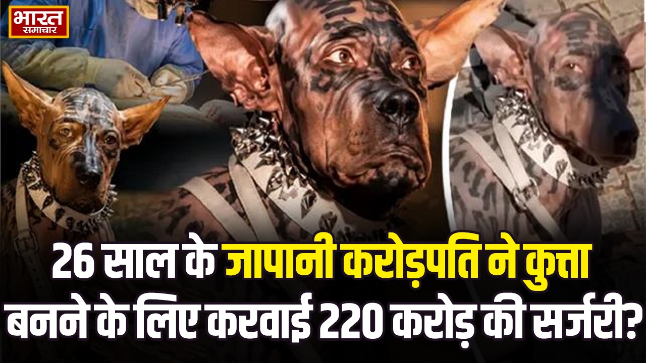 26 साल के जापानी करोड़पति ने कुत्ता बनने के लिए करवाई 220 करोड़ की सर्जरी? वायरल वीडियो की सच्चाई जानिए