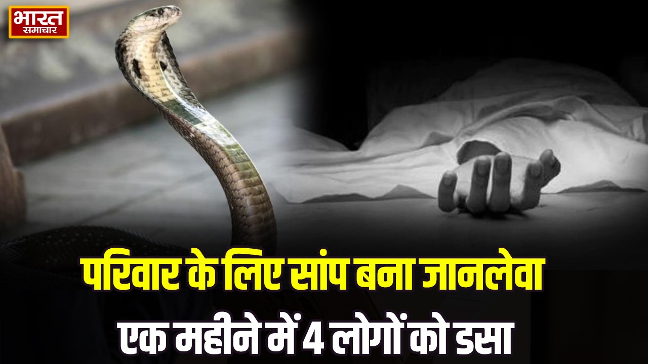 संभल में सांप का आतंक, एक महीने में परिवार के 4 लोगों को डसा; किशोरी की मौत