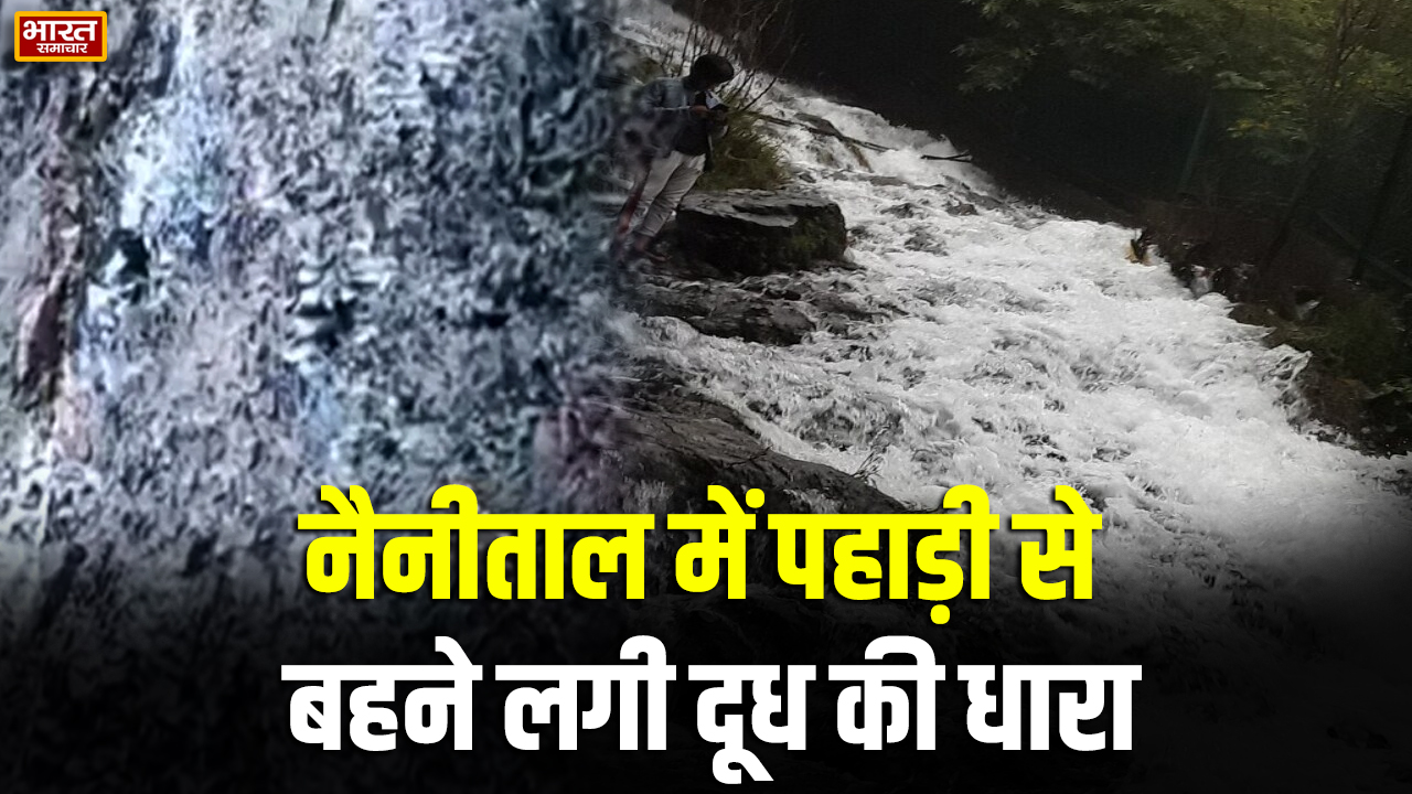 नैनीताल में पहाड़ी से बहने लगा दूध! वीडियो वायरल होते ही मचा हड़कंप, मंदिर से जुड़ा मामला